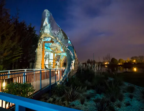THORPE Shark Hotel